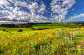 Eastern Oregon-0110.jpg